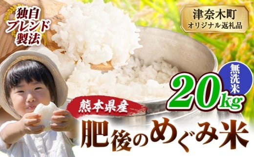 無洗米 熊本県産 ブレンド米 肥後のめぐみ米 20kg 熊本県産 ふるさと納税 精米 米 こめ ふるさとのうぜい コメ お米 おこめ《10月中旬-12月末頃出荷》