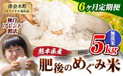 【6ヶ月定期便】無洗米 熊本県産 ブレンド米 肥後のめぐみ米 5kg 熊本県産 ふるさと納税 精米 米 こめ ふるさとのうぜい コメ お米 おこめ《11月から出荷開始》