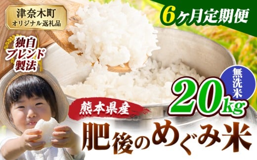 【6ヶ月定期便】無洗米 熊本県産 ブレンド米 肥後のめぐみ米 20kg 熊本県産 ふるさと納税 精米 米 こめ ふるさとのうぜい コメ お米 おこめ《11月から出荷開始》