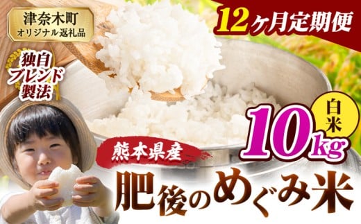 【12ヶ月定期便】白米 熊本県産 ブレンド米 肥後のめぐみ米 10kg 熊本県産 ふるさと納税 精米 米 こめ ふるさとのうぜい コメ お米 おこめ《11月から出荷開始》