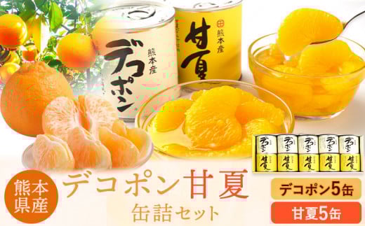 デコポン・甘夏缶詰セット計10缶入り《60日以内に出荷予定(土日祝除く)》熊本県 葦北郡 津奈木町 あしきた農業協同組合 JAあしきた 柑橘 デコポン 甘夏 あまなつ フルーツ 果物 缶詰 セット 送料無料