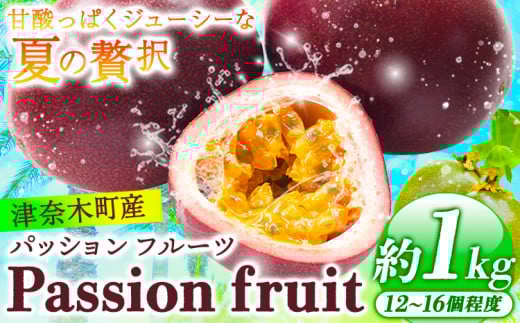 先行予約 津奈木町産 パッションフルーツ 約1kg(12〜16個) つなぎ南興FARM[7月上旬-7月中旬頃出荷]フルーツ 果物 熱帯果樹栽培 バニラアイス ヨーグルト 練乳