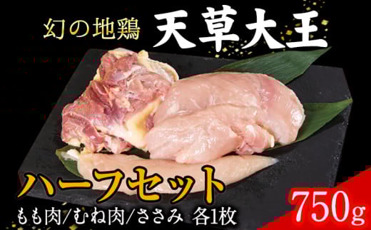 天草大王 ハーフセット 約750g【幻の地鶏】もも・むね・ささみ各1枚 熊本県産 葦北郡 津奈木町《60日以内に出荷予定(土日祝除く)》