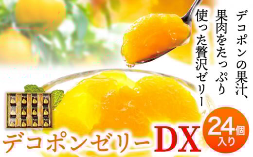 デコポンゼリーDX 24個入《60日以内に出荷予定(土日祝除く)》熊本県 葦北郡 津奈木町 あしきた農業協同組合 JAあしきた 柑橘 デコポン フルーツ 果物 ゼリー ギフト 包装 送料無料
