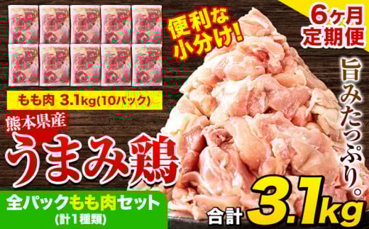 【6ヶ月定期便】 鶏肉 うまみ鶏 全パックもも肉セット(計1種類) 若鶏 冷凍 小分け《お申込み月の翌月より出荷開始》