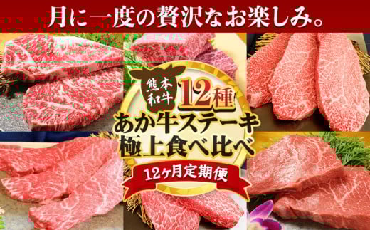 【12ヶ月定期便】あか牛 ステーキ 12種 極上 食べ比べ 定期便 12回《お申込み月の翌月から出荷開始》有限会社 三協畜産 サーロイン ランプ 肩ロース イチボ 三角バラ カイノミ ミスジ クリミ ザブトン シャトーブリアン リブロース モモ あか牛のたれ付き