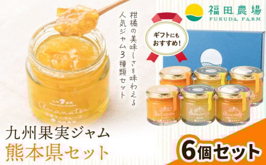 九州果実ジャム 熊本県セット 6個セット デコポンジャム 甘夏マーマレード 晩白柚ジャム 1個あたり120g《30日以内に出荷予定(土日祝日除く)》熊本県 水俣市 津奈木町 福田農場 ジャム マーマレード 柑橘 セット