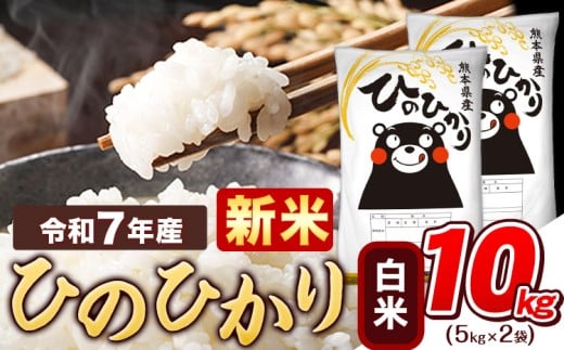 新米 令和7年産  白米 ひのひかり 10kg 《10月中旬-12月末頃出荷》令和7年産 熊本県産 ふるさと納税 精米 ひの 米 こめ ふるさとのうぜい ヒノヒカリ コメ お米 おこめ
