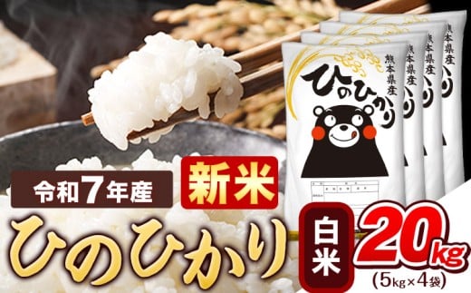 新米 令和7年産  白米 ひのひかり 20kg 《10月中旬-12月末頃出荷》熊本県産 ふるさと納税 精米 ひの 米 こめ ふるさとのうぜい ヒノヒカリ コメ お米 おこめ