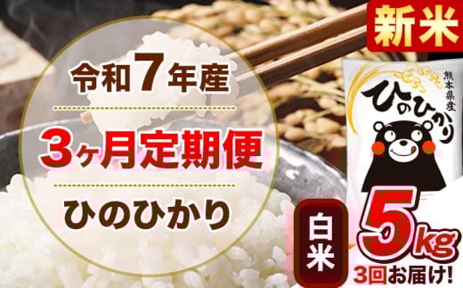 新米 令和7年産 【3ヵ月定期便】白米 ひのひかり 定期便 5kg 5kg×1袋《11月から出荷開始》 熊本県産 精米 ひの 米 こめ ヒノヒカリ コメ お米