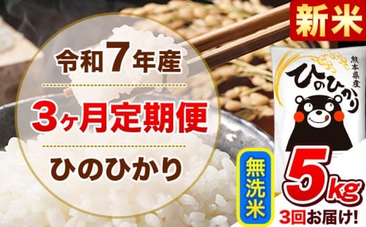 新米 令和7年産 【3ヵ月定期便】 無洗米 ひのひかり 定期便 5kg 5kg×1袋《11月から出荷開始》 熊本県産 精米 ひの 米 こめ ヒノヒカリ コメ お米