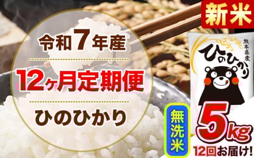 新米 令和7年産 【12ヵ月定期便】 無洗米 ひのひかり 定期便 5kg 5kg×1袋《11月から出荷開始》 熊本県産 精米 ひの 米 こめ ヒノヒカリ コメ お米