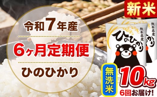 新米 令和7年産 【6ヵ月定期便】 無洗米 ひのひかり 定期便 10kg 5kg×2袋《11月から出荷開始》 熊本県産 精米 ひの 米 こめ ヒノヒカリ コメ お米