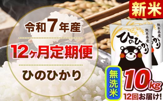 新米 令和7年産【12ヵ月定期便】 無洗米 ひのひかり 定期便 10kg 5kg×2袋《11月から出荷開始》 熊本県産 精米 ひの 米 こめ ヒノヒカリ コメ お米