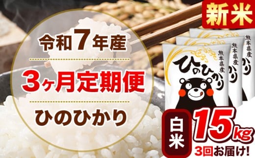 新米 令和7年産 【3ヵ月定期便】 白米 ひのひかり 定期便 15kg 5kg×3袋《11月から出荷開始》 熊本県産 精米 ひの 米 こめ ヒノヒカリ コメ お米