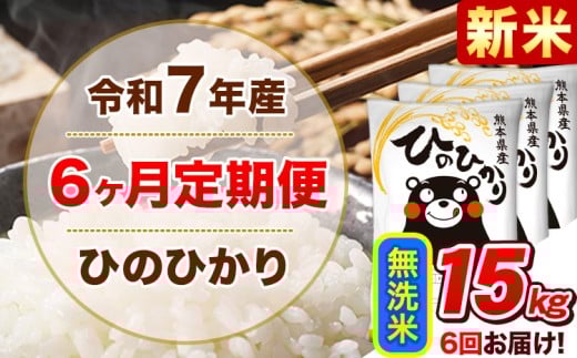 新米 令和7年産 【6ヵ月定期便】 無洗米 ひのひかり 定期便 15kg 5kg×3袋《11月から出荷開始》 熊本県産 精米 ひの 米 こめ ヒノヒカリ コメ お米