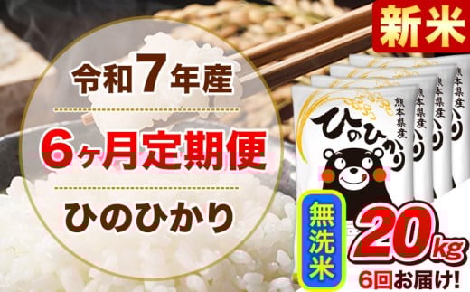 新米 令和7年産 【6ヵ月定期便】 無洗米 ひのひかり 定期便 20kg 5kg×4袋《11月から出荷開始》 熊本県産 精米 ひの 米 こめ ヒノヒカリ コメ お米
