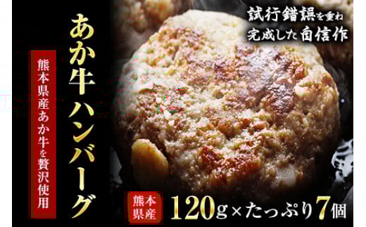 あか牛ハンバーグ 熊本県産あか牛を使用した贅沢ハンバーグたっぷり7個入り あか牛 赤牛 あかうし《7-14日以内に出荷予定(土日祝除く)》 熊本県 葦北郡 津奈木町