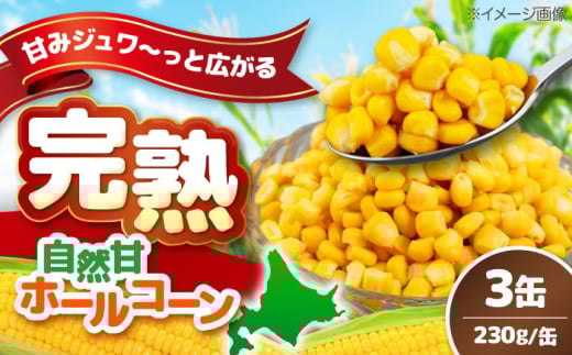 【北海道産】 自然甘ホールコーン 3缶（C7号缶）《喜茂別町》【きもべつ観光協会】 コーン コーン缶 とうもろこし トウモロコシ 北海道 常温 常温配送 [AJAG021] 3000 3000円 3千円