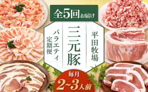 【全5回定期便】平田牧場 バラエティ定期便 2~3人前 《喜茂別町》【平田牧場】 肉 豚肉 ロース バラ肉 ステーキ セット 定期便 北海道 平田牧場 三元豚 [AJAP126] 50000 50000円 5万 5万円