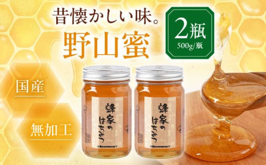 蜂家厳選！はちみつ 野山蜜 500g（瓶）×2本　《喜茂別町》【Beemonte】はちみつ 蜂蜜 ハチミツ 国産はちみつ ハニー [AJAS005] 18000 18000円