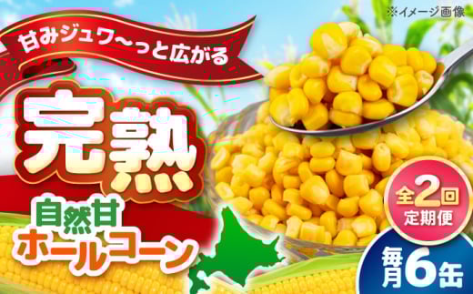 【全2回定期便】【北海道産】 自然甘ホールコーン 6缶（C7号缶）《喜茂別町》【きもべつ観光協会】 コーン コーン缶 とうもろこし トウモロコシ 北海道 常温 常温配送 [AJAG031] 10000 10000円 1万円