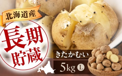 【先行予約】 じゃがいも きたかむい 5kg 《喜茂別町》【Aコープようてい】 じゃがいも いも 芋 ジャガイモ イモ 野菜 北海道 ポテト 国産 産地直送 旬 お取り寄せ 常温 [AJAK029]
