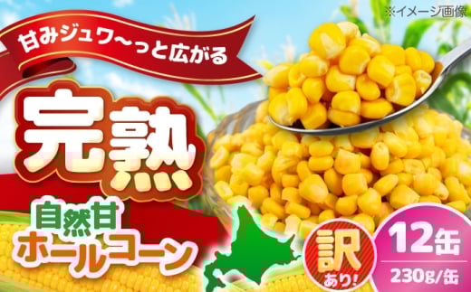 【訳あり】 自然甘ホールコーン 12缶（C7号缶）《喜茂別町》【きもべつ観光協会】 コーン コーン缶 とうもろこし トウモロコシ 北海道 常温 常温配送 [AJAG040] 5000 5000円 5千円
