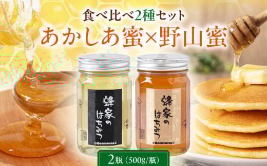 蜂家厳選！はちみつ  500g（瓶）2種セット（あかしあ・野山）　《喜茂別町》【Beemonte】はちみつ 蜂蜜 ハチミツ 国産はちみつ ハニー [AJAS009] 20000 20000円 2万円 2万