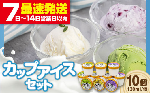 ミルク工房 カップアイスセット（130ml×10個）《喜茂別町》【ニセコリゾート観光協会】 アイス アイスクリーム カップアイス 牛乳 牧場 ジェラ―ト ミルク 抹茶 ブルーベリー セット スイーツ 濃厚 ご褒美 新鮮 産地直送 ギフト 贈答品 デザート 詰め合わせ 冷凍 冷凍配送 北海道 美味しい 人気 おすすめ お中元 御中元 [AJAI011] 11000 11000円
