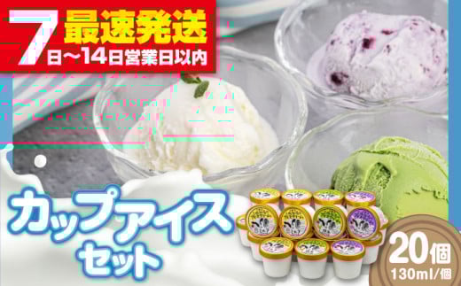 ミルク工房 カップアイスセット（130ml×20個）《喜茂別町》【ニセコリゾート観光協会】 アイス アイスクリーム ジェラ―ト ミルク 抹茶 ブルーベリー セット 詰め合わせ 冷凍 冷凍配送 北海道 [AJAI012] 20000 20000円 2万円