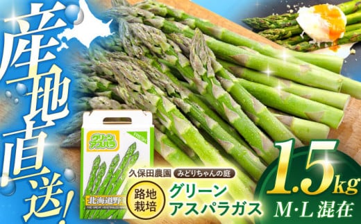 【2026年5月上旬以降順次発送】 グリーンアスパラガス 1.5kg （M・L混在/露地栽培）《喜茂別町》【久保田農園】 アスパラ アスパラガス グリーンアスパラ 冷蔵 冷蔵配送 野菜 春野菜 季節の野菜 北海道 [AJAM001] 13000 13000円