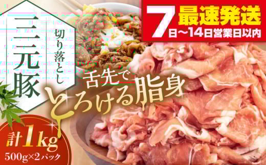 平田牧場 切り落とし 1kg (500g×2P) 《喜茂別町》【平田牧場】 豚肉 切り落とし 肉 冷凍 国産 切落し 野菜炒め 豚丼 ぶた肉 ポーク ぶたにく 使い勝手抜群 ぶた丼 豚汁 生姜焼き 煮物 三元豚 [AJAP005] 11000 11000円