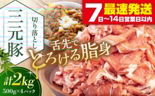 平田牧場 切り落とし 2kg (500g×4P) 《喜茂別町》【平田牧場】 豚肉 切り落とし 肉 冷凍 国産 切落し 野菜炒め 豚丼 ぶた肉 ポーク ぶたにく 使い勝手抜群 ぶた丼 豚汁 生姜焼き 煮物 三元豚 [AJAP006] 20000 20000円 2万円