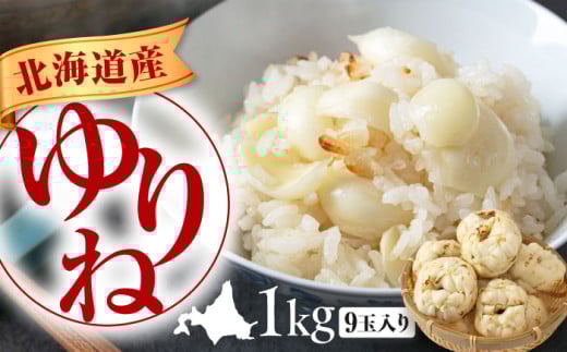 【先行予約】ゆり根 1kg(9玉・ギフト箱入り)※2025年11月中旬以降順次発送《喜茂別町》 【Aコープようてい】 ユリ根 ユリネ 北海道 季節の野菜 冬野菜 ギフト プレゼント 産地直送