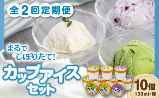 【全2回定期便】ミルク工房 カップアイスセット（130ml×10個）《喜茂別町》【ニセコリゾート観光協会】 アイス アイスクリーム ジェラート ミルク 抹茶 ブルーベリー 詰め合わせ 冷凍配送 北海道 [AJAI055] 22000 22000円