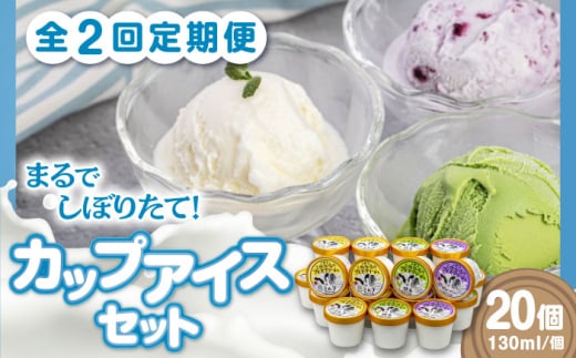 【全2回定期便】ミルク工房 カップアイスセット（130ml×20個）《喜茂別町》【ニセコリゾート観光協会】 アイス アイスクリーム ジェラート ミルク 抹茶 ブルーベリー 詰め合わせ 冷凍配送 北海道 [AJAI059] 40000 40000円 4万円
