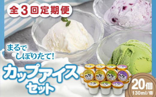 【全3回定期便】ミルク工房 カップアイスセット（130ml×20個）《喜茂別町》【ニセコリゾート観光協会】 アイス アイスクリーム ジェラート ミルク 抹茶 ブルーベリー 詰め合わせ 冷凍配送 北海道 [AJAI060] 60000 60000円 6万円