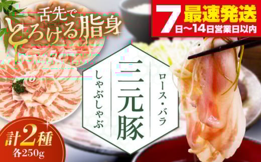 平田牧場 しゃぶしゃぶセット 500g (ロース・バラ) ※だし・昆布ナシ 《喜茂別町》【平田牧場】 しゃぶしゃぶ すき焼き 豚肉 豚ロース 三元豚 ロース バラ 豚バラ セット [AJAP066] 9000 9000円