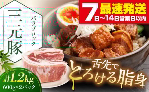 平田牧場 バラブロック1.2kg (600g×2P) 《喜茂別町》【平田牧場】 豚肉 ブロック 豚バラブロック 焼肉 国産 北海道 ブロック肉 特産品 ぶた肉 バラ 冷凍 [AJAP073] 13000 13000円