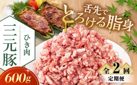 【全2回定期便】平田牧場 ひき肉 600g 《喜茂別町》【平田牧場】 肉 豚肉 ミンチ 豚ミンチ 餃子 つくね 冷凍配送 定期便 定期 北海道 平田牧場 三元豚 [AJAP118] 14000 14000円
