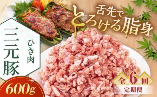 【全6回定期便】平田牧場 ひき肉 600g 《喜茂別町》【平田牧場】 肉 豚肉 ミンチ 豚ミンチ 餃子 つくね 冷凍配送 定期便 定期 北海道 平田牧場 三元豚 [AJAP120] 42000 42000円