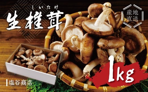 無農薬 無肥料 静岡県 伊豆産 原木 栽培 生しいたけ 椎茸 しいたけ きのこ 1㎏　【椎茸 キノコ 肉厚 シイタケ 新鮮 】　010-002