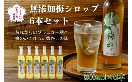 伊豆 月ヶ瀬 こだわりの 梅シロップ 500ml×６本セット 028-001　【 国産 無添加 焼酎 炭酸水 炭酸 飲料 果実 青果 果樹 ドリンク かき氷 お菓子 ケーキ ジュース 瓶 贈り物 ギフト プレゼント お土産 手土産 お取り寄せ 伊豆　梅シロップ 梅しろっぷ うめしろっぷ シロップ しろっぷ 梅 うめ ウメ　】