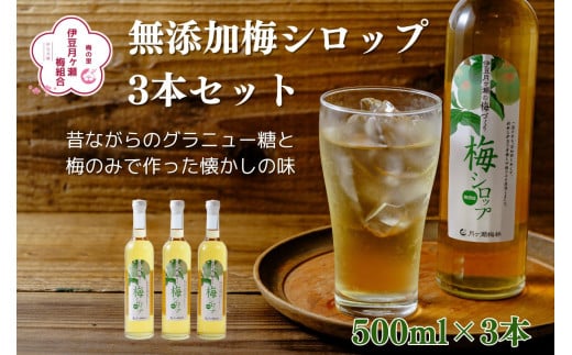 伊豆 月ヶ瀬 こだわりの 梅シロップ 500ml×３本セット（化粧箱・ラッピング込み） 015-001　【 国産 無添加 焼酎 炭酸水 炭酸 飲料 果実 青果 果樹 ドリンク かき氷 お菓子 ケーキ ジュース 瓶 贈り物 ギフト プレゼント お土産 手土産 お取り寄せ 伊豆　梅シロップ 梅しろっぷ うめしろっぷ シロップ しろっぷ 梅 うめ ウメ　】