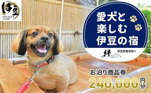修善寺温泉 修善寺絆＋ 愛犬と一緒にお泊り 商品券 240,000円分 【静岡県 伊豆市 温泉 温泉宿 宿泊券 宿泊 旅行 旅行クーポン 商品券 補助券 ペット 静岡 伊豆 愛犬 犬 いぬ イヌ 家族 ファミリー 友達 友人 カップル 夫婦 宿泊券 補助券 チケット 利用券 贅沢 旅行 家族旅行 卒業旅行 記念旅行 記念日 お祝い 誕生日 卒業 結婚 還暦 ご褒美】80-005