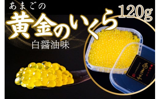 【数量限定】 清流の女王！あまごの黄金イクラ（白醤油づけ）【サーモン 天城 川魚 紅姫 サツキマス 清流 湧き水 大型化 刺身 サーモンピンク 脂 清流の女王 釣り人 甘味 美味 絶賛 しずおか食セレクション 養殖魚 塩漬け 絶品 縁起 プレゼント】012-013