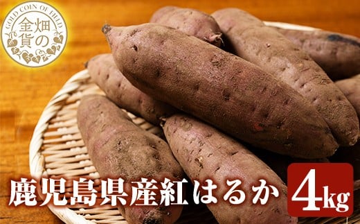 a174 ＜先行予約受付中！2025年12月中旬以降順次発送予定＞畑の金貨・紅はるか4kg(生芋)【甘いも販売所】姶良市 国産 さつま芋 サツマイモ べにはるか 貯蔵 熟成 蜜芋 蜜いも さつまいも