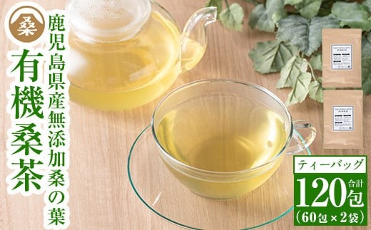 a793 国産!わくわく園有機桑茶・計120包(2g×60包・2袋)【わくわく園】 姶良市 桑の葉 有機 桑茶 桑 桑の葉茶 お茶 ティーバッグ ティーパック ノンカフェイン くわ 茶 九州産