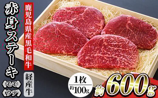鹿児島県産 黒毛和牛（経産和牛） 赤身 ステーキ 約600g（100g×6枚） 国産 冷凍 小分け 尾崎牧場産【B-386H】